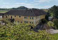 TOP GELEGENHEIT - Mühlviertler Vierkanthof mit Potenzial zur Pferdehaltung und zu insgesamt 4 Wohneinheiten und 38.343 m² Grund