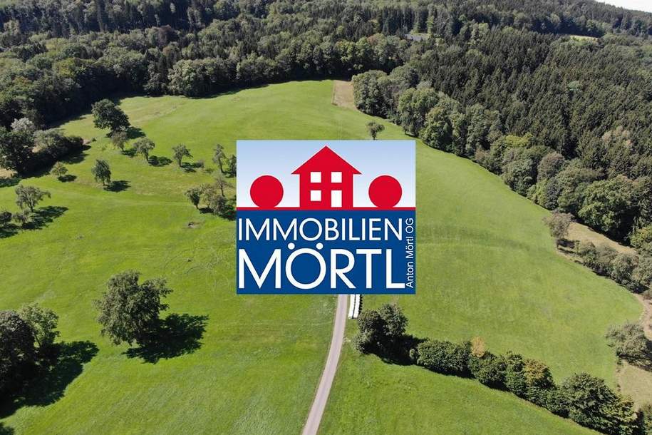 10 ha Grünland und Forstwirtschaftsflächen in Feichsen, Gewerbeobjekt-kauf, 349.000,€, 3251 Scheibbs