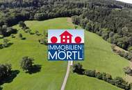 10 ha Grünland und Forstwirtschaftsflächen in Feichsen