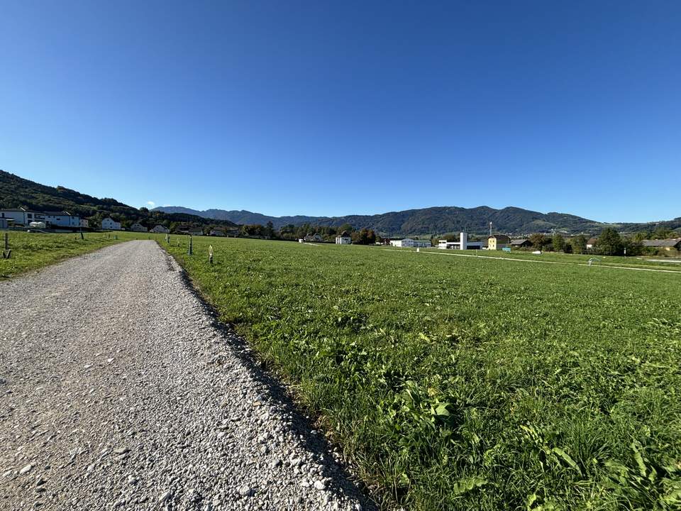 9 Baugrundstücke in sonniger Lage in Schlierbach - Hofwiese