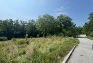 Zwei Baugrundstücke mit angrenzender Waldfläche in Hartberg – Am Brühlbach