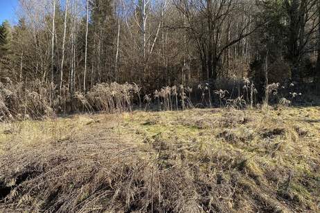 Sonniges Baugrundstück in leichter Hanglage in beliebter Wohngegend nahe Thalersee (3146), Grund und Boden-kauf, 8051 Graz-Umgebung