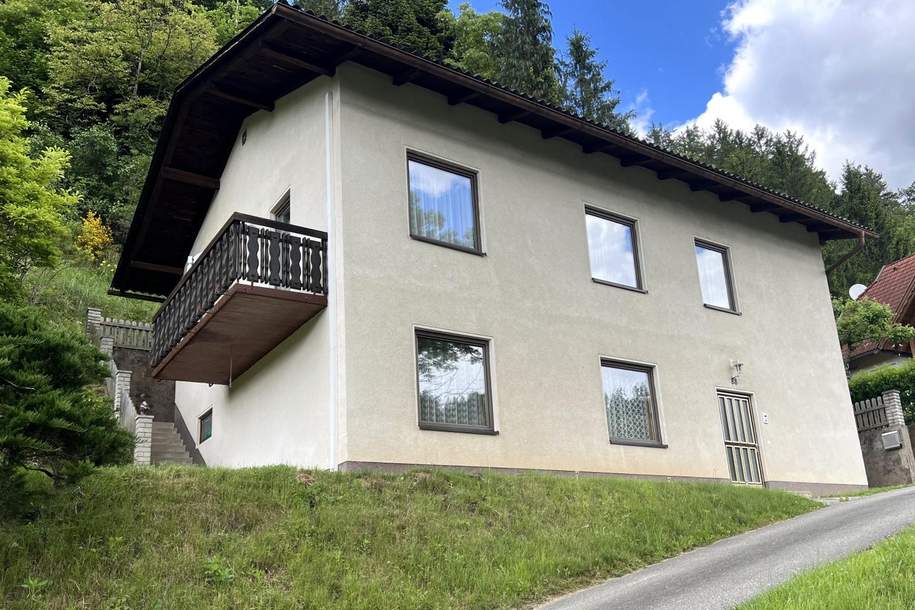 Geräumiges Einfamilienhaus in ruhiger, idyllischer Grünlage mit kleiner Waldfläche in Lavamünd, Haus-kauf, 185.000,€, 9473 Wolfsberg
