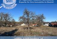Schönes, sonniges Baugrundstück direkt in Niederschleinz!