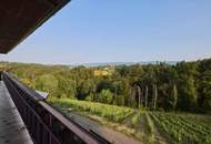 Solitär im Rebenland - Weingut in der Südweststeiermark in prächtiger Alleinlage