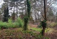 "Einfamilienhaus mit großem Garten und Altbaumbestand"