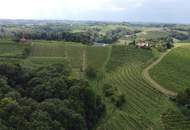 IN SLOWENIEN - Weingut in der berühmten Weinbauregion JERUZALEM