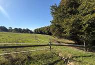 Pferdehof in sonniger Ruhelage bei Straden – 1,7 ha Grund, Wohnhaus, zahlreiche Nebengebäude & ideal für Selbstversorger - provisionsfrei
