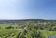 RARITÄT der EXTRAKLASSE! Perfekt revitalisiertes Weingartenhaus mit atemberaubendem Fernblick inmitten der Döblinger Weinberge!