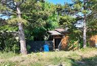 🏡 Charmantes Sommerhaus mit großem Garten & Wintergarten