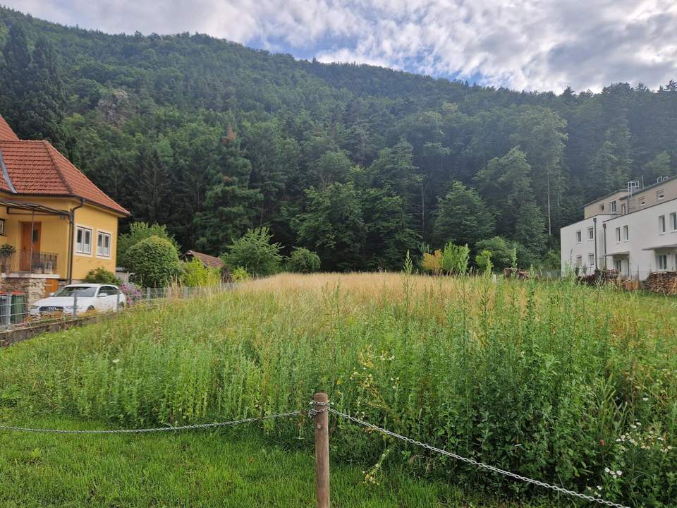 EINE SELTENE GELEGENHEIT: BAUGRUNDSTÜCK MIT EIGENEM WALD MIT HERRLICHEM AUSBLICK DIREKT AM WASSER