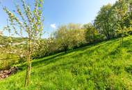 Supergemütliches Einfamilienhaus mit großem Garten und Natur-Biotop - beziehbar ab August 2026!