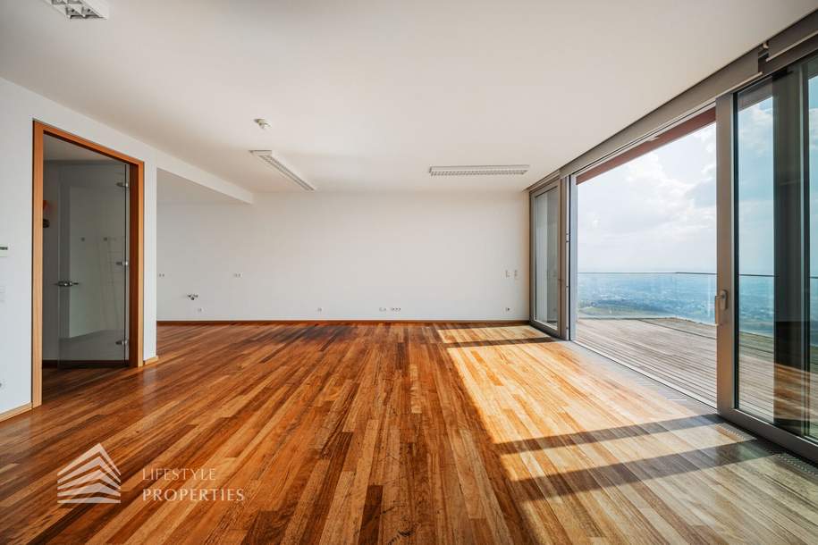 Über den Dächern Wiens! Traumhafte Garconniere mit Terrasse, Wohnung-miete, 1.360,60,€, 1190 Wien 19., Döbling