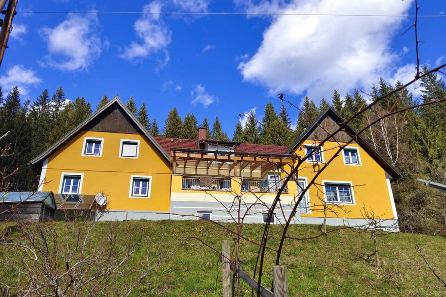 Doppeltes Glück im DREILÄNDERECK Steiermark-Kärnten-Slowenien auf 9.000 m² Grund - Nähe Stausee, Haus-kauf, 569.000,€, 8552 Deutschlandsberg