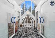 Wo die Seele ihr Zuhause findet: Ein Kunstwerk zwischen Wald und Wien