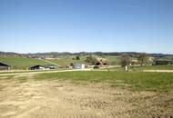 Attraktive Grundstücke in ruhiger Lage