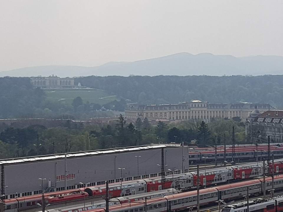 Ein Blick auf Schönbrunn und die Gloriette