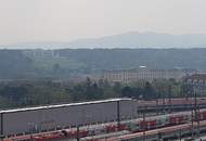 Ein Blick auf Schönbrunn und die Gloriette