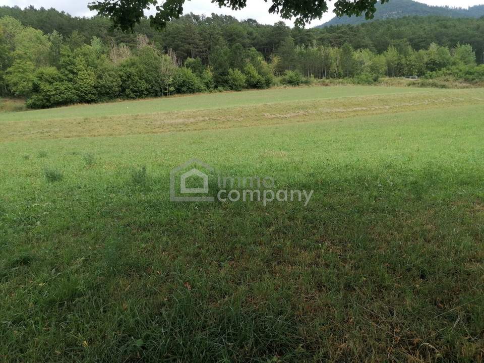 Wunderschönes Grundstück in Grünbach am Schneeberg - ca. 5.200 m² mit ca. 1.000 m² Bauland