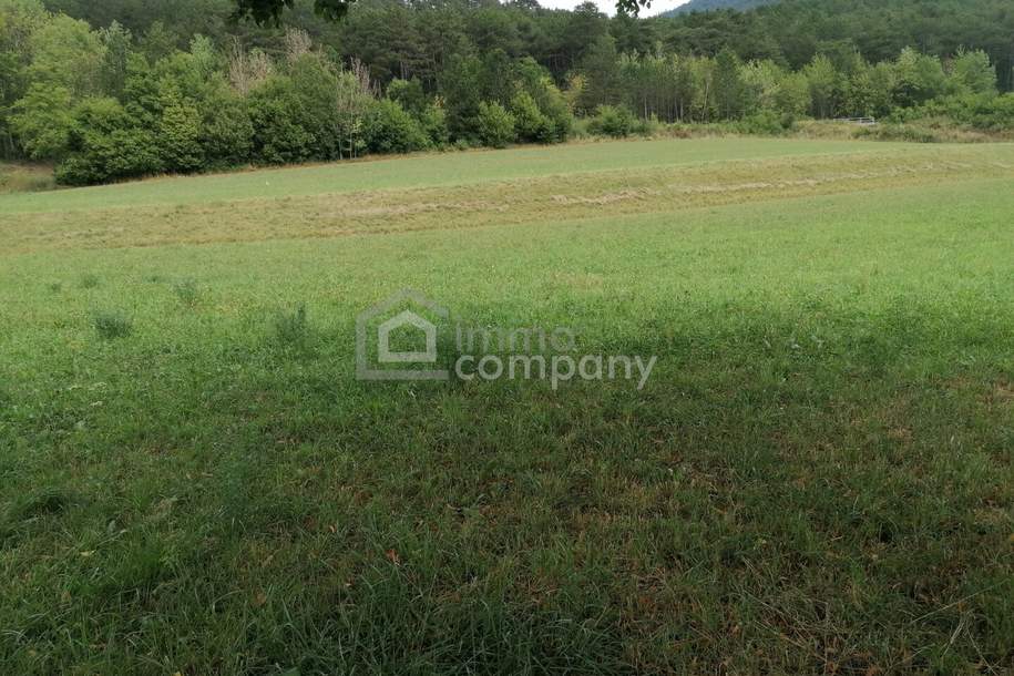 Wunderschönes Grundstück in Grünbach am Schneeberg - ca. 5.200 m² mit ca. 1.000 m² Bauland, Grund und Boden-kauf, 249.000,€, 2733 Neunkirchen