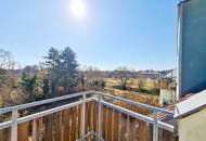 Geräumige Garconniere mit Balkon in der schönen Weinstadt Retz