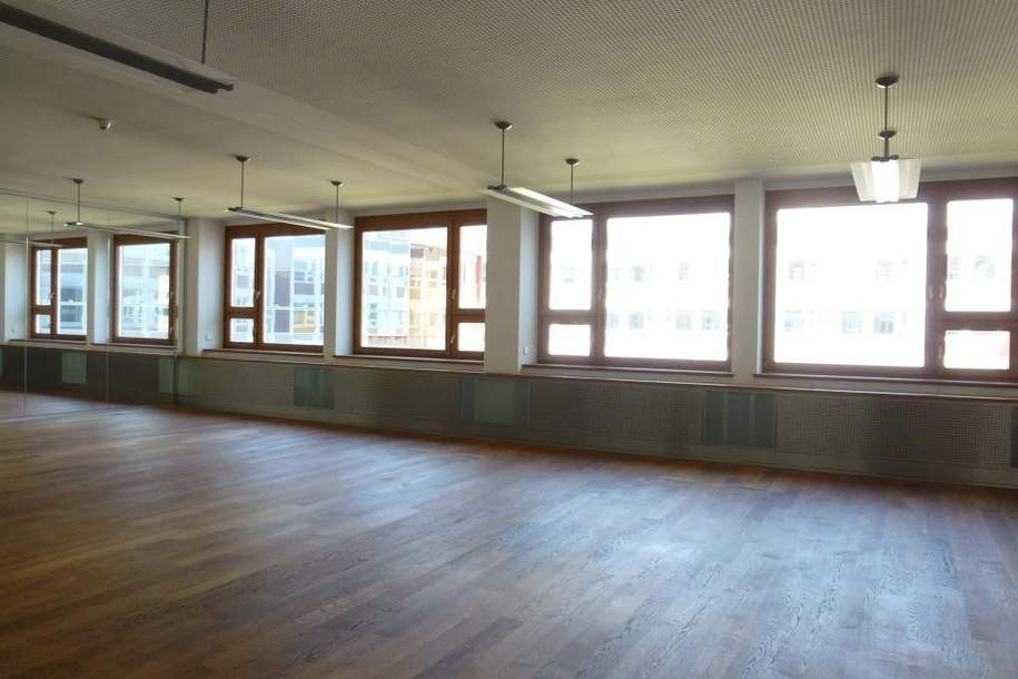 Alte Börse: BÜRO am Schottenring - große Terrasse - U2-Nähe!!, Gewerbeobjekt-miete, 35.126,08,€, 1010 Wien 1., Innere Stadt