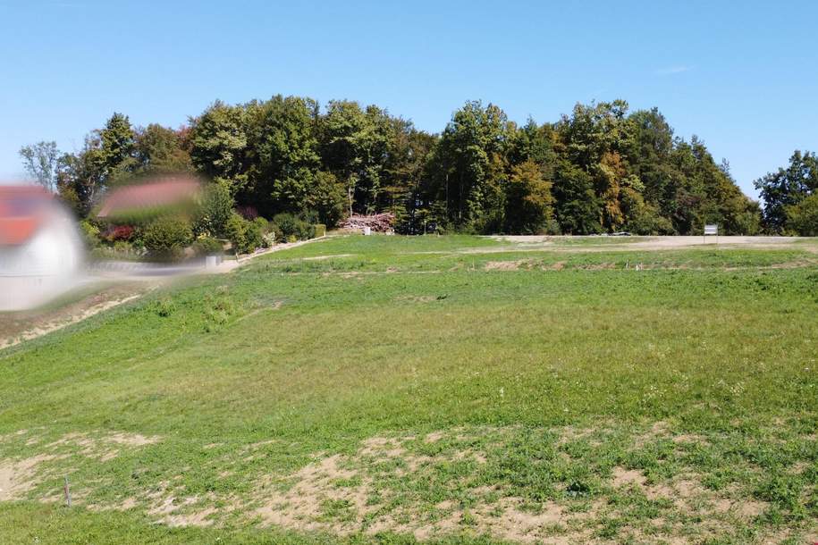 Sonniges Grundstück in Grubtal, Grund und Boden-kauf, 186.000,€, 8462 Leibnitz