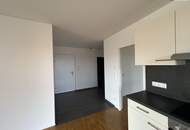 Herrlich helle megacoole Singlewohnung, auch geeignet für Pärchen mit einer gigantischen Terrasse und einem Balkon in 8020 Graz zu mieten!