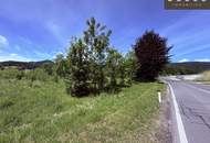 Vielseitige Gewerbeliegenschaft mit Entwicklungspotenzial und hervorragender Verkehrsanbindung an die S6 Semmering Schnellstraße | Krieglach