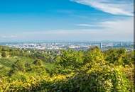Grundstück mit Weingarten in Döblinger Bestlage