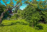 Traumgrund am Schafberg