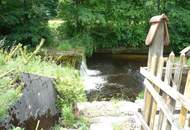 Sonniges und Idyllisches Haus am Bach!