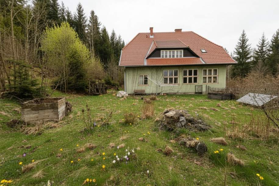 Großzügiges Wohnhaus auf großem Grundstück in idyllischer Lage! Sanierungsbedürftig!, Haus-kauf, 190.000,€, 2880 Neunkirchen