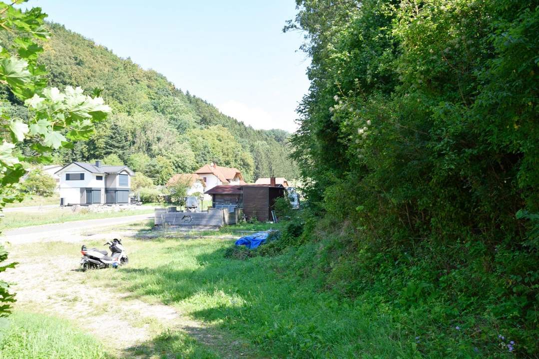 Grundstück im Grünen mit Holzhaus ohne Bauzwang