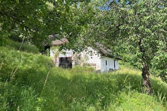 Sanierungsbedürftiges Sacherl mit viel Grund im schönen Mühlviertel!, Haus-kauf, 250.000,€, 4173 Rohrbach