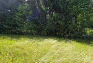 Landwirtschaftliche Fläche mit Waldgrundstück und Gebäude