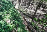 IDYLLISCHE ALLEINLAGE IM NATURSCHUTZGEBIET