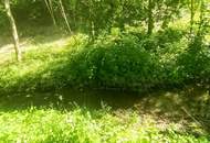 Sonniges Grundstück am Waldrand sehr idyllisch am Bach