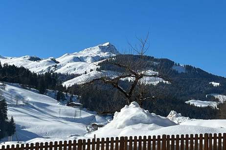 Sonniges Grundstück mit Hornblick, Grund und Boden-kauf, 650.000,€, 6391 Kitzbühel