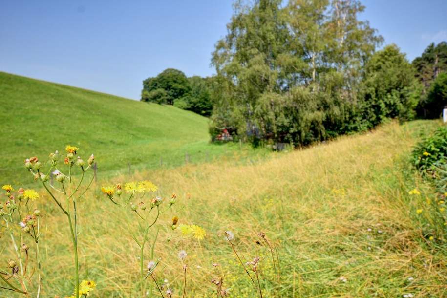 Einzigartiges Grundstück - Greith Gemeinde Schrattenbach, Grund und Boden-kauf, 85.000,€, 2733 Neunkirchen