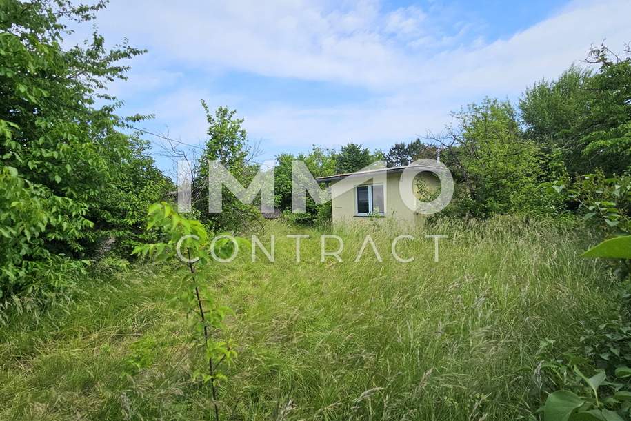 Neuer Preis!! Platz für Wohnträume – großes, erschlossenes Grundstück für Familie oder Projektbau, Grund und Boden-kauf, 489.000,€, 2603 Wiener Neustadt(Land)