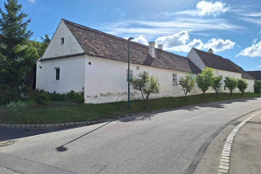 Landhaus mit Nebengebäuden - originell und urig renoviert!, Haus-kauf, 180.000,€, 3741 Hollabrunn