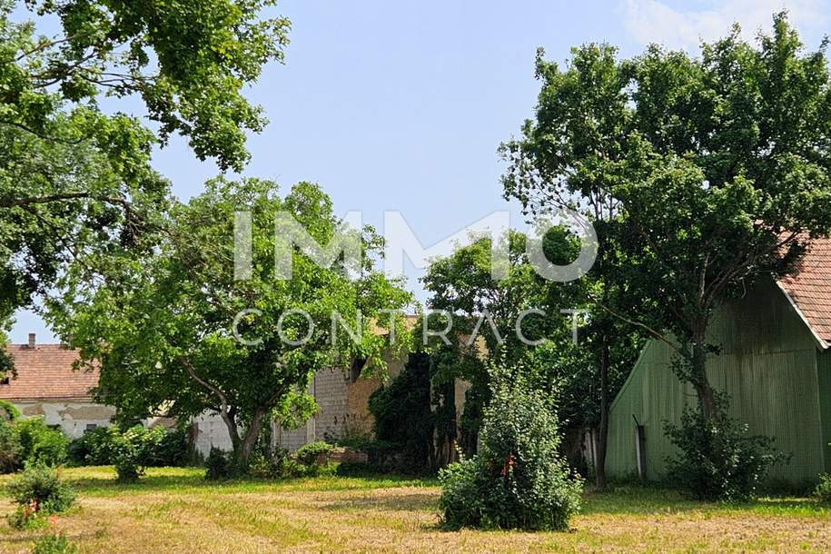 Ebenes, ruhiges, sonniges und voll aufgeschlossenes Grundstück in attraktiver Lage, Grund und Boden-kauf, 560.000,€, 2522 Baden