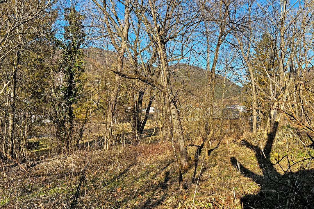 Baugrund in Lehenrotte/Türnitz an der Via Sacra - Nähe Lilienfeld