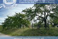 Schönes, sonniges Baugrundstück in der Gemeinde Sitzendorf!
