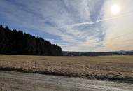 Baugrundstücke Grünbach bei Freistadt