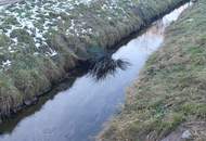 Neubau-Massivhaus für Großfamilie - nur 35 min von Wien entfernt