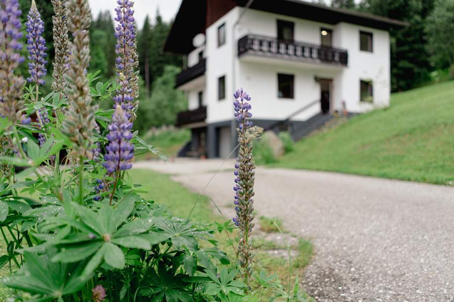 Leben in Alleinlage hoch über Deutsch-Griffen auf 1.118 Meter Seehöhe + traumhafter Karawankenblick, Haus-kauf, 395.000,€, 9572 Sankt Veit an der Glan