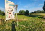 EINE SELTENE GELEGENHEIT AUF EINE KLEINE ACKERFLÄCHE IN FREUNDORF - ZUSAMMENHÄNGENDE LANDWIRTSCHAFTLICHE FLÄCHE
