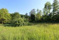 Baugrundstück mit See-Nähe und vielseitigen Nutzungsmöglichkeiten